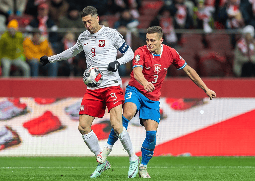 瑞典迎战波兰，瑞典挑战波兰-九游官网(图2)